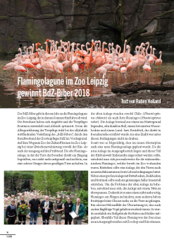 Flamingolagune gewinnt BdZ-Biber 2018 (8 Seiten, Heft 3-2019)